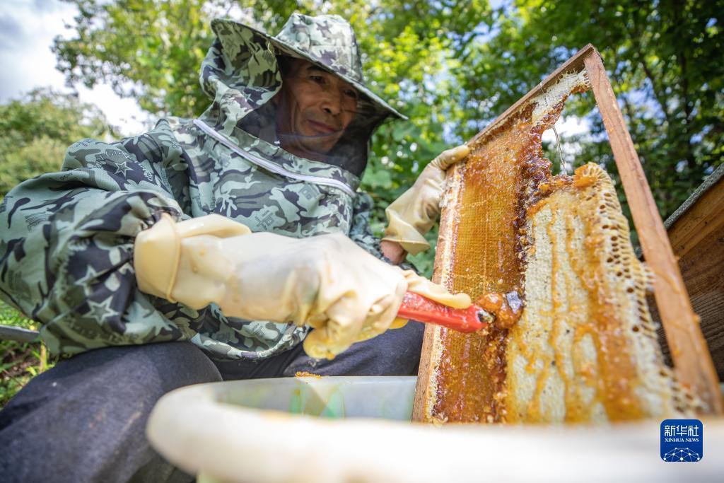 bet网站怎么样